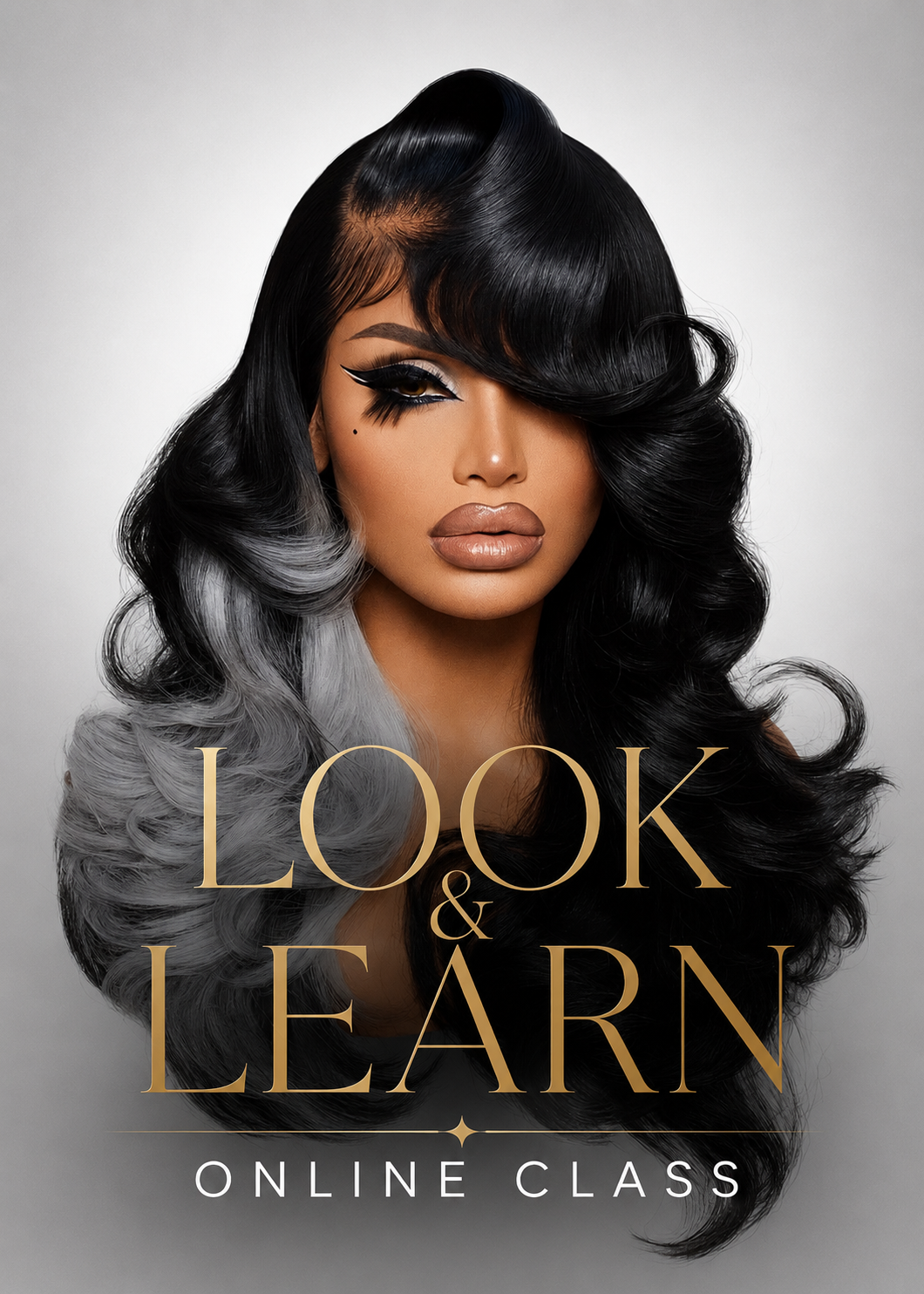 Look and Learn Online Class