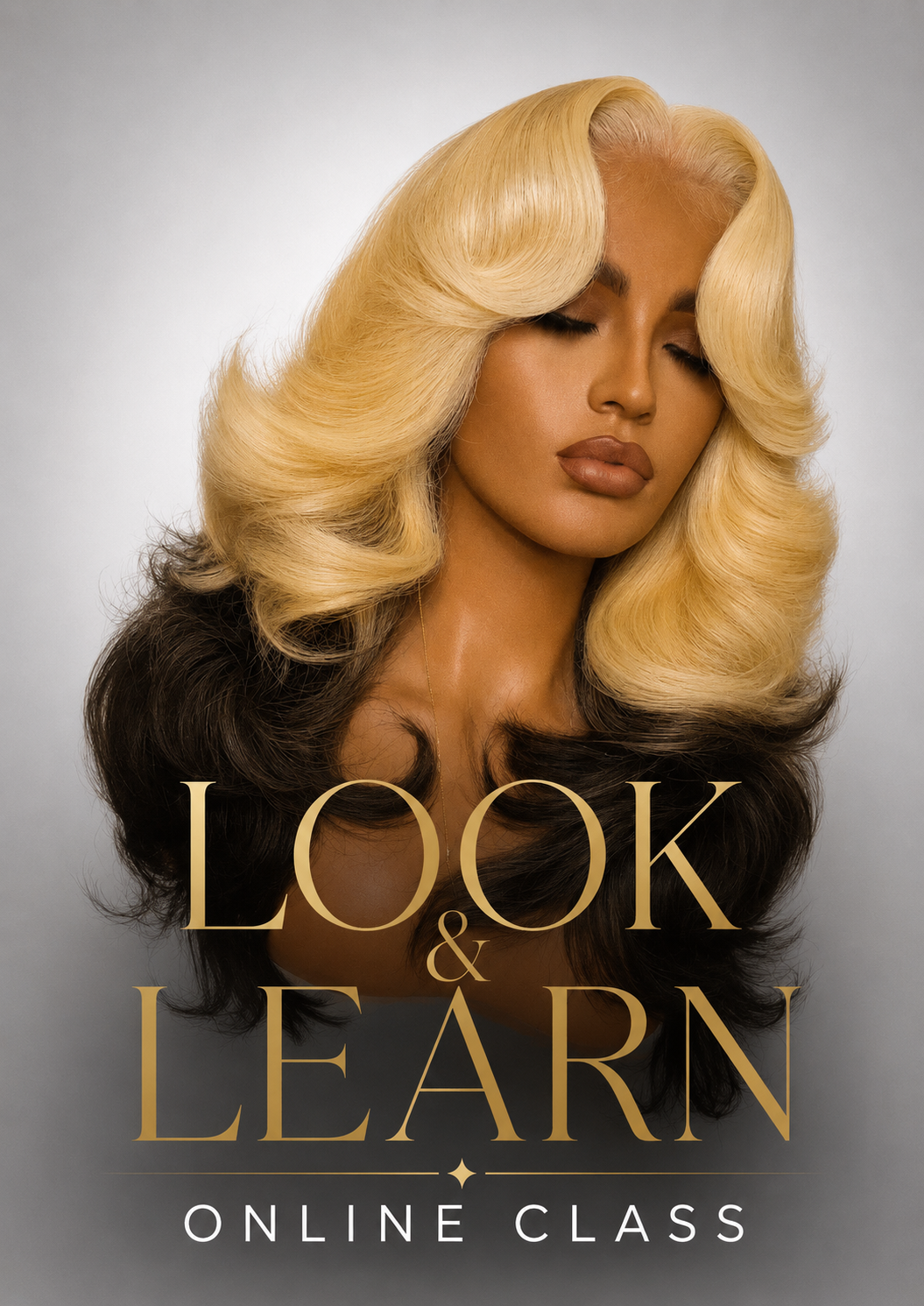 Look and Learn Online Class